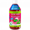ALOE VERA ECOLOGICO 1 LITRO